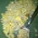 Cooksnap dari Rindangi Putri untuk resep Nasi Goreng