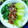 Cooksnap dari ms.rara untuk resep Pok coy saus tiram