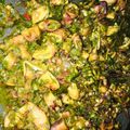Cooksnap dari linda rahmadhani untuk resep Sambal Ijo Cumi Asin