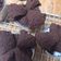 Cooksnap dari Nicholin Cute untuk resep Bolu Kukus Coklat Mekar tanpa Telur tanpa Mixer