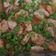 Cooksnap dari Katrin untuk resep Udang stim bawang putih