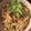 Annie 的 炸醬麵 cooksnap
