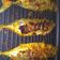 Cooksnap dari Adelina Muliawati untuk resep Ikan kembung bakar padang