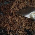 Cooksnap dari Aini 6166 untuk resep Abon sapi homemade no goreng no oven