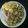 El cooksnap de glurio cuando hizo Calabacín gratinado.