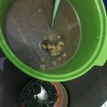 Cooksnap dari wulandari prodjosoewojo untuk resep Bakmoy