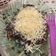 Cooksnap dari Lathifah Hanun untuk resep Pisang Bakar Coklat Keju (Teflon)