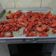 Cooksnap dari Dianing Kiran Petrus untuk resep Charsiew/daging merah panggang