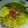 Cooksnap dari Ferni's Cooking untuk resep Soto ayam bening