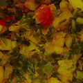 Neha Tyagi का कुकस्नैप जब उन्होंने आलू हरा प्याज की सब्जी (Aloo Hara Pyaz Ki Sabzi recipe in Hindi) बनाया था।