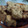 El cooksnap de mona lisa cuando hizo Galletas integrales de avena.
