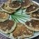 El cooksnap de Estela cuando hizo Panqueques o crepes de avena y quinotos.