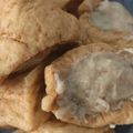 Cooksnap dari Asharina J untuk resep Tahu Bakso Semarang Devina Hermawan