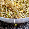 El cooksnap de 🌺Zandry ABRADELO🌺 cuando hizo Sopa de lentejas germinadas. ॐ.