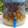 Cooksnap của Hoàng Thị Tố Hà khi họ làm theo món Mơ ngâm
