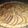 El cooksnap de Flor cuando hizo Tarta de peras con crema pastelera.