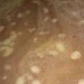 Cooksnap dari putri h.l untuk resep Puding zebra busa lembut