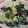Defania Isabel's cooksnap of when they made Egg and Spinach Salad.