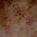Durga miglani's cooksnap of when they made Udad dal with bathua.