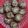 El cooksnap de Lourdes cuando hizo Galletitas dulces de avena con café veganas.
