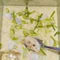 Cooksnap dari anita. Vincent untuk resep Tim Telur Daging