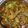 Priya Mulchandani का कुकस्नैप जब उन्होंने कड़ाई चिकन (kadai chicken recipe in Hindi) बनाया था।