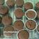 Cooksnap dari Nur Sabatiana untuk resep Cup cake simple
