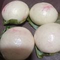 Cooksnap dari Tiwi Wahyu untuk resep Bakpao empuk sekali proofing + Trik agar mulus dan tdk Mengkerut