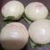 Cooksnap dari Tiwi Wahyu untuk resep Bakpao empuk sekali proofing + Trik agar mulus dan tdk Mengkerut