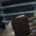 Cooksnap dari jihan untuk resep Brownies Kukus tepung beras