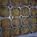Cooksnap dari Heni Marlina untuk resep Macaroni schotel panggang