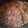 Jack's cooksnap of when they made BBQ Pulled Pork.