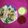 Nila Mehta's cooksnap of when they made ગ્લાસ ઢોકળા(glass dhokal in gujarati).