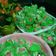 Cooksnap dari Nova Sari untuk resep Bolu Kukus Semangka (mekar)