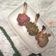 Cooksnap dari Mita.W#MommyFayzel# untuk resep Chicken Drumstick (Ayam Tulip)