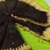 Cooksnap dari Karina Arfa untuk resep Pie Susu Coklat Teflon
