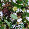Shanthi's cooksnap of when they made வெண்டைக்காய் பொரியல் vendakai poriyal recipe in tamil.