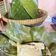 Cooksnap dari Aprie untuk resep Barongko Pisang Kepok
