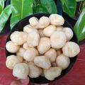 Cooksnap dari yusri untuk resep Cimol bulat tidak meledak