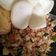 Cooksnap dari Ummi Rahmi untuk resep Nasi Goreng enakkk simple