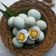 Cooksnap dari Meieka untuk resep Telur Asin Bawang Putih Home Made #Dandelion