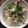 Cooksnap của Thu Mèo khi họ làm theo món Canh đuôi heo nấu khoai sọ