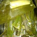 Cooksnap dari Bertha Desvia untuk resep Lontong Daun Metode 5,30,7