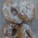 Cooksnap dari kurnianacn untuk resep Donat Kentang Tanpa Ragi (no proofing, no knead)