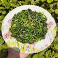 Cooksnap dari Leylita Kesty Hardjiyantie untuk resep Sìgeumchi Namùl |Salad Bayam ala Korea |