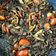 Cooksnap Nadzirah Anwar semasa beliau membuat Daging Kicap Black Pepper.