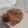 El cooksnap de Samuel Martinez-campos cuando hizo Torrijas.