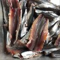 Cooksnap από Sitronella στη συνταγή Πώς καθαρίζουμε γαύρους ή σαρδέλες
