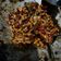 Cooksnap dari Nuryudha Mashita untuk resep Orek tempe kering pedas manis