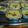 Cooksnap dari Liza Mivida untuk resep Tumis Kembang Kol
